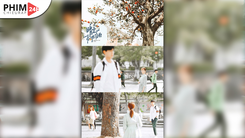 So sánh với truyện Thầm Yêu Quất Sinh Hoài Nam