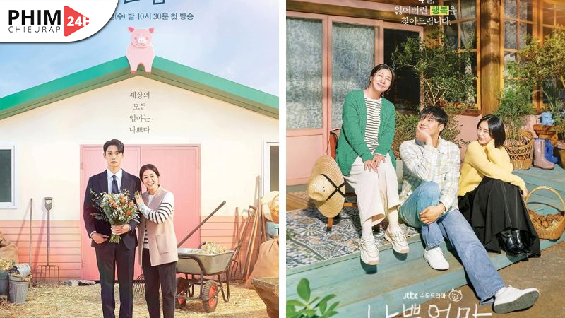 Người Mẹ Tồi Của Tôi kể về hành trình của Jin Young Soon và con trai Choi Kang Ho